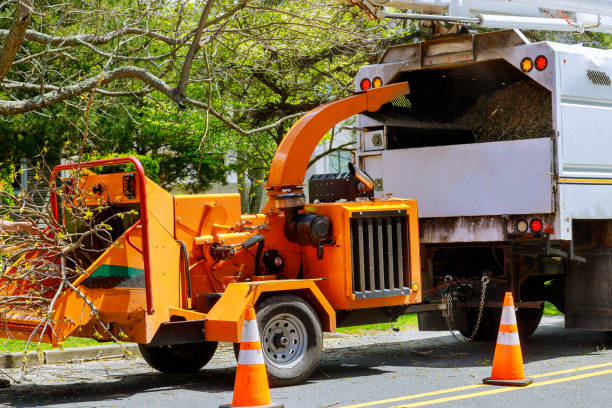 Best Commercial Tree Services  in Spry, PA